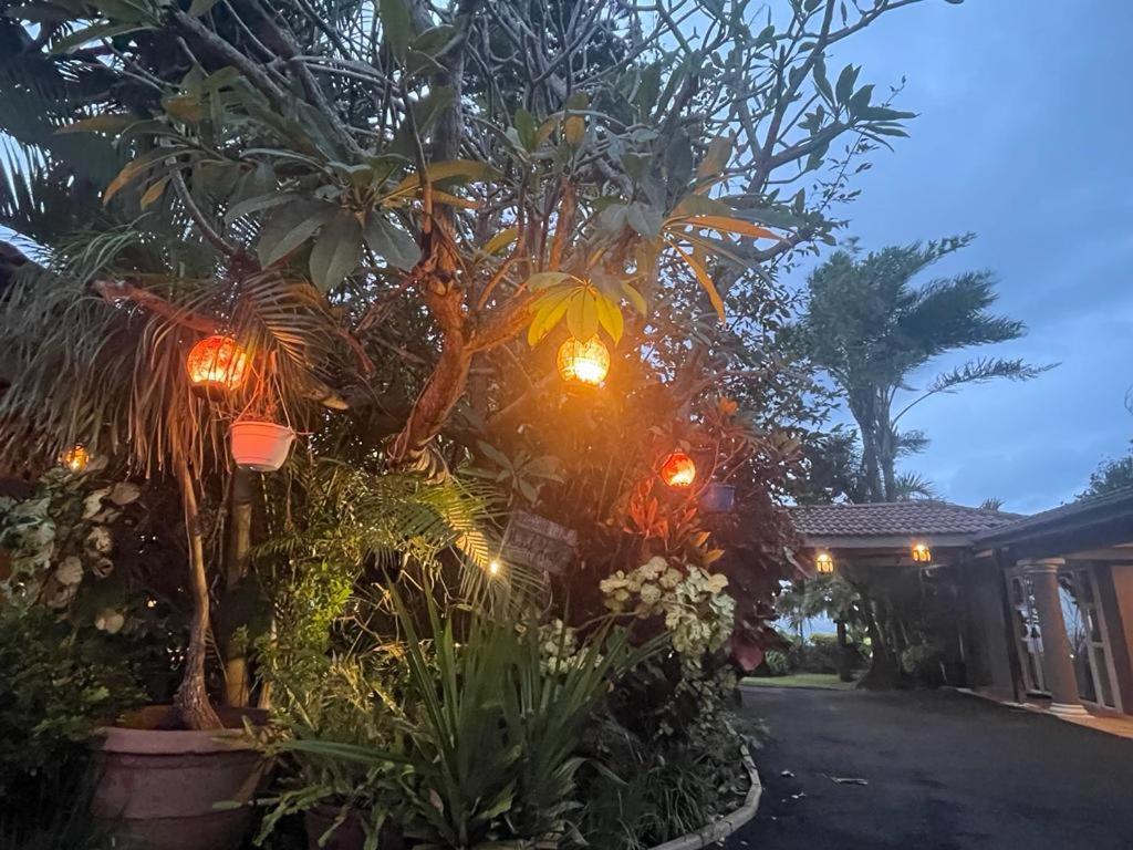 Illovo Beach House امانزيمتوتي المظهر الخارجي الصورة